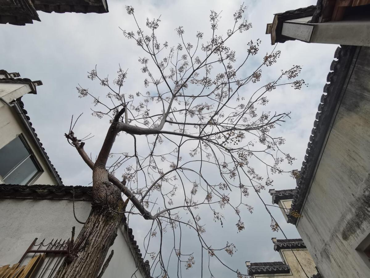 Xidi Kunlun International Hostel Yi (Anhui) Zewnętrze zdjęcie